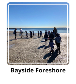 Foreshore.png
