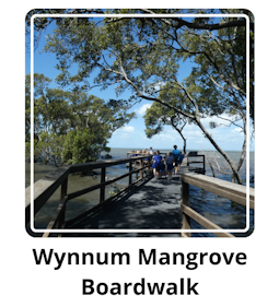 Wynnum Mangrove Boardwalk.png