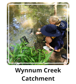 Wynnum Creek Catchment.png